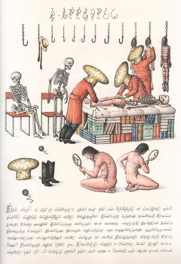 'Codex Seraphinianus'