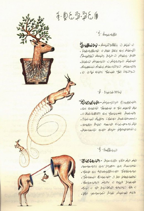 Codex Seraphinianus - 7