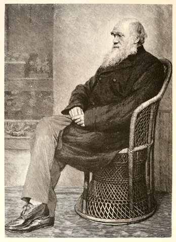 Dibujo a partir de una fotografía de Charles Darwin, publicado en el primer volumen de una biografía editada por su hijo Francis Darwin (1891).