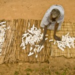Mujer secando mandioca al sol en Uganda. (c) Pablo Tosco