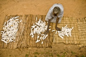 Mujer secando mandioca al sol en Uganda. (c) Pablo Tosco