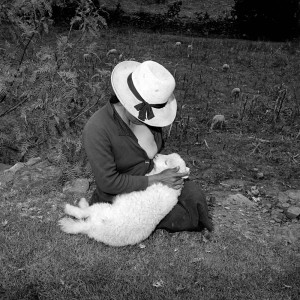 Catalin Valentine's Lamb, Ancash, Peru, 1981 © Rosalind Solomon 2010/Courtesy Bruce Silverstei