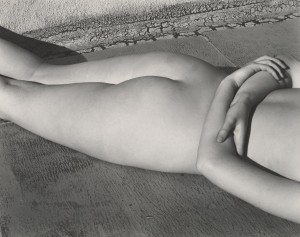 Edward Weston, Desnudo, 1936 Colección Center for Creative Photography, The University of Arizona © 1981 Arizona Board of Regents