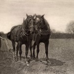 Peter Henry Emerson - "At Plough, The End of the Furrow", 1887