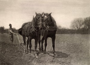 Peter Henry Emerson - "At Plough, The End of the Furrow", 1887