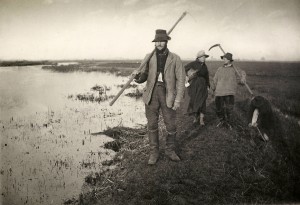 "Coming Home from the Marshes",1886